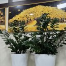 진영 참숯돼지갈비 이미지