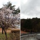 국토정중앙천문대 이미지