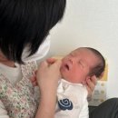 베베산모도우미 이미지