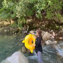 대바우가든 민박 | 울산 물놀이 명소 평상 있는 계곡 식당 대바우가든