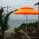 삽시도팬션나라 이미지