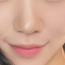 샵팔래트