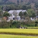 성주가천우체국 | 경상북도 성주군 올리브그린, 위치, 연락처, 후기