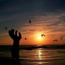 후문한일약국 이미지