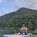 하늘비의 안나푸르나 트레킹(11, 끝) 이미지