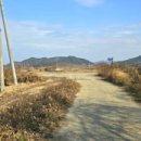 서부해안로(안치) 이미지