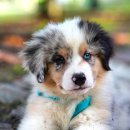 만덕약국 이미지