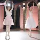아름다운발레학원 이미지