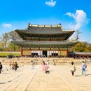영화로 만나는 역사 이야기 | 영화로 만나는 조선시대 (인기작, 시대극, 추천작)