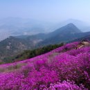 팔룡동553 이미지