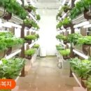 참빛유치원 이미지