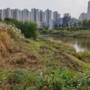 Q-부동산공인중개사사무소 이미지