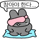 최고급한우 이미지