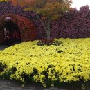 국화2리 경로당 이미지