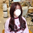 송파역미용실| 박준뷰티랩 송파헬리오포레점에서 레드브라운 염색후기