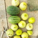 산우농장 이미지