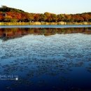 화랑유원지_경기도미술관주변 이미지