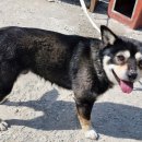 퀸즈승마장 이미지