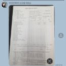 아이언게러지 이미지