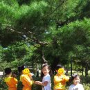 보정자연유치원 이미지