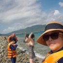 예술, 내 인생의 결정적 순가들 | 나트랑 산티아고 투어 호핑 미니비치 내돈내산 할인 후기