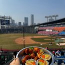 잠실야구장 3루 외곽 | 잠실 야구장 3루 원정팀 오렌지석 응원석 219블럭 10열 후기