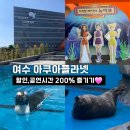 여수 아쿠아리움 할인 수중 아이돌 뉴이브 공연 후기
