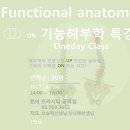 밸런스교정요가