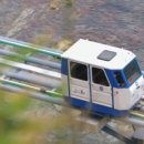 실비자연산횟집 이미지