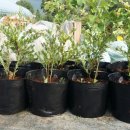 오가네농장 이미지