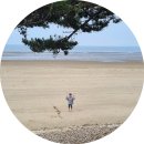 충남 안면도, 애견동반 펜션 나인독스 1박 후기