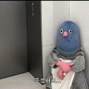 오루 네이버블로그