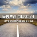 勿忘初心(물망초심) 이미지
