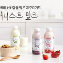 어니스트제주