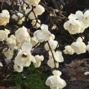 천일약품 이미지