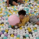 251-2-000050 | 원주 대형 키즈카페 육아휴직 리뉴얼 후기 (4세 이상 강추)