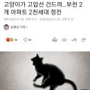 고양이가 고압선 건드려…부천 2개 아파트 2천세대 정전 이미지