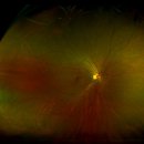 킴스안과의원 이미지