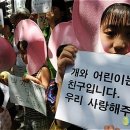 둥글이 이미지
