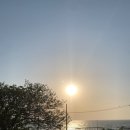 마이오리진 이미지