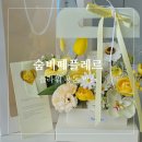 숨비떼플레르
