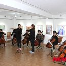 첼로 - 창원시 성산구 가양로 80 | 첼로