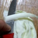 밥도둑 참치 쌈장 올린 양배추 롤 쌈 만드는 방법 이미지