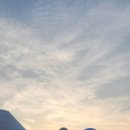 테트라블럭 이미지