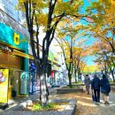 센트럴프라자,양천경찰서 사잇길 | 목동카페 만족크로바 :: 양천구청 앞 디저트 맛집, 주차 3시간 무료!