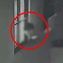 ‘소름 주의’ 원룸 창문 열고 뚫어져라 보는 男 이미지
