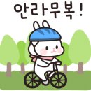 피크사이클링랩