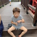 하늘연 캠핑장 이미지