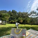 이웃집 멍 이미지