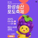 송산수산 | [화성 궁평항] 2025 송산포도축제 다녀온 후기 ｜직거래로 신선한 포도 득템!